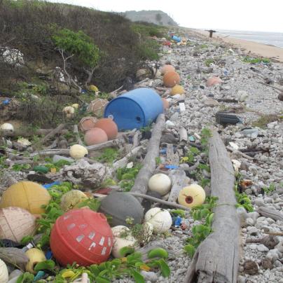 Marine debris washed up on Marine Park beaches