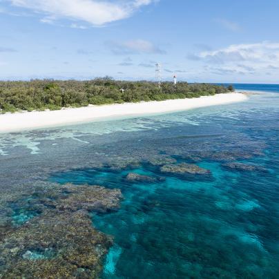 Lady Elliot Island
