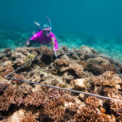 © Commonwealth of Australia -Tourism Reef Protection Initiative GBR-Safaris-Measuring-the-distance