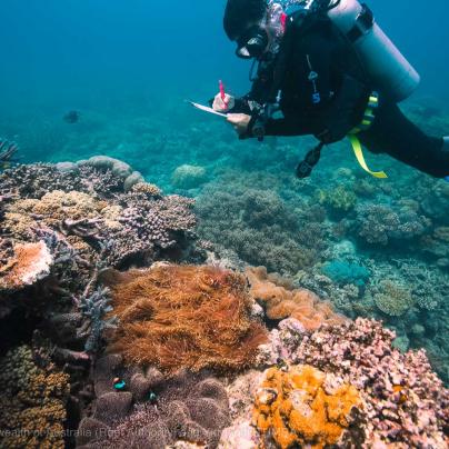 Commonwealth of Australia (Reef Authority) -  Yirrgandji TUMRA