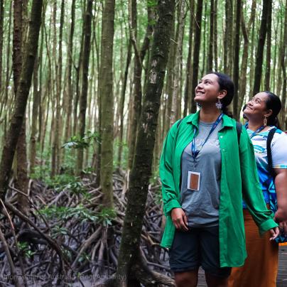 Palau Pacific Coral Reef Collective with Gavin Singleton and delegates in Cairns on a tour of mangroves