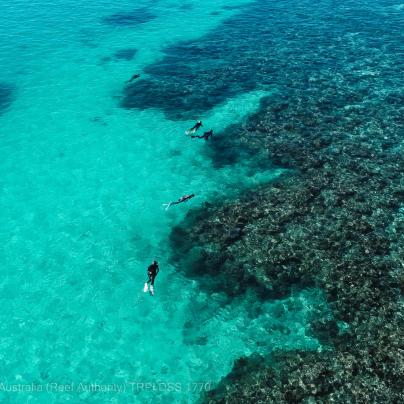 ©- Tourism Reef Protection Initiative-DSS-1770-Tourism-Weekly-aerial