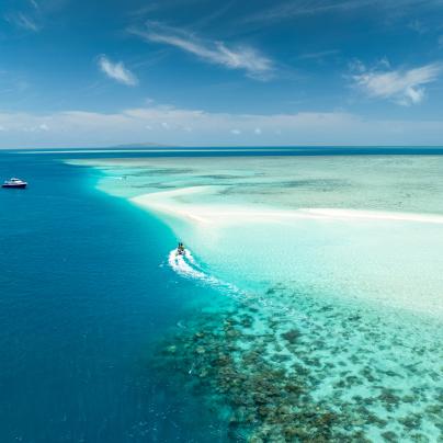 Green sea turtle Torres Straits Great Barrier Reef Traditional Owners