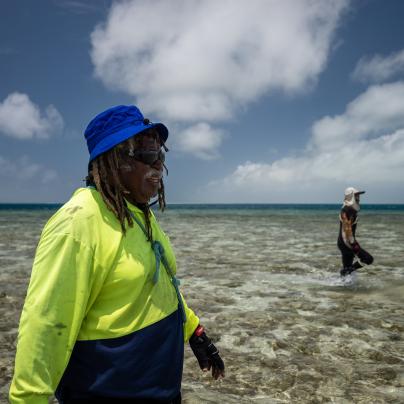 Green sea turtle Torres Straits Great Barrier Reef Traditional Owners