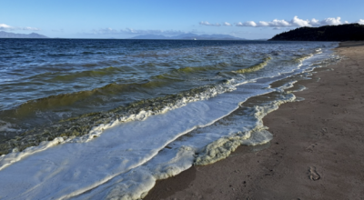 Trichodesmium on Magnetic Island