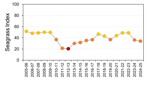 Wet tropics seagrass graph