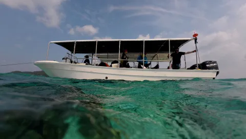 Palau COTS trip