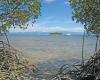 Wood Island