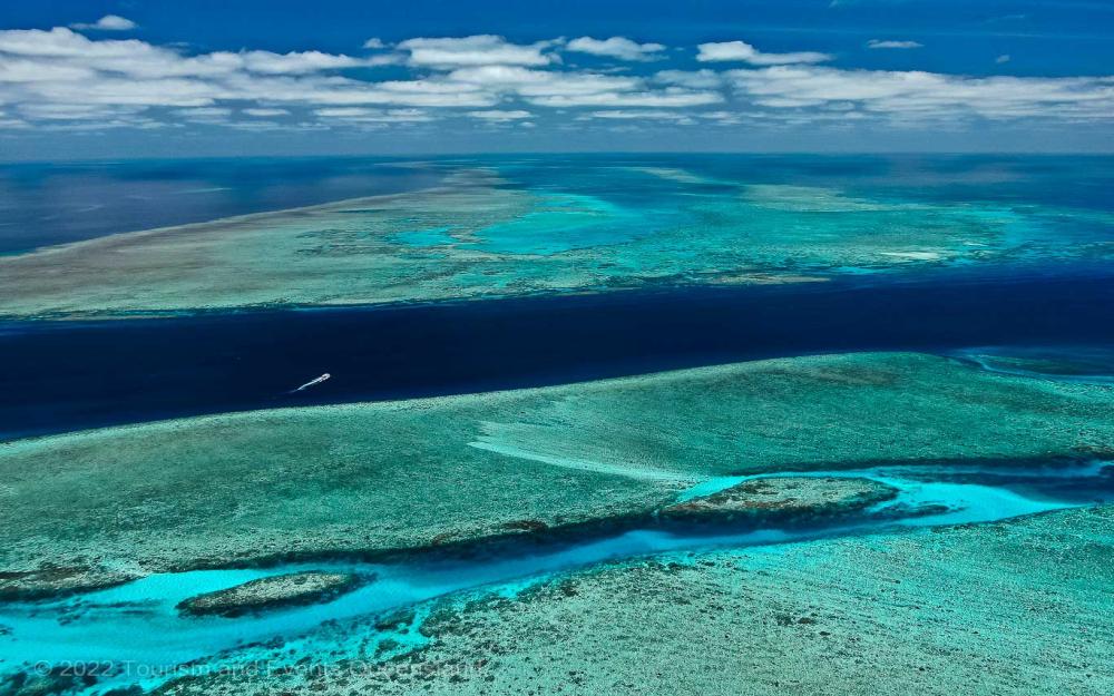 Aerial photograph of the Great Barrier Reef and deep ocean Soft coral photo found on the Great Barrier Reef – Australia - © Tourism and Events Queensland