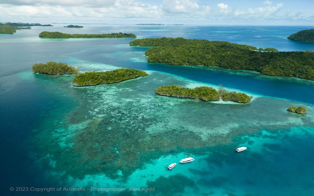 Palau Pacific Coral Reef Collective 