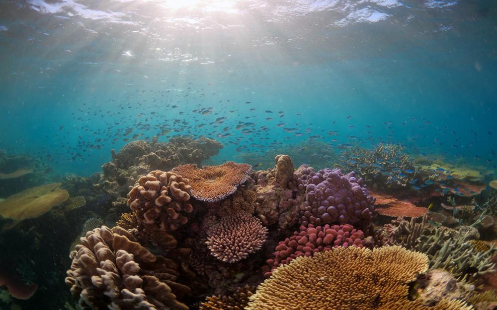 Great Barrier Reef