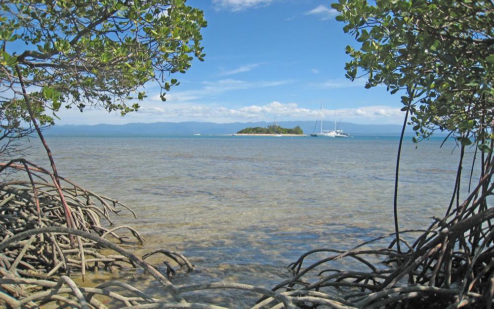 Wood Island