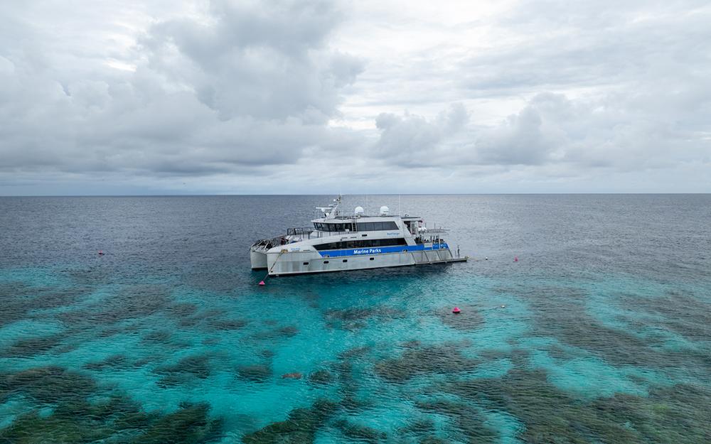 Reef Ranger
