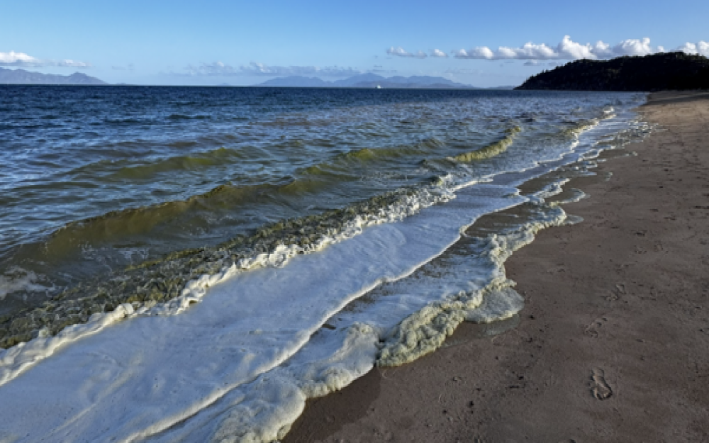 Trichodesmium on Magnetic Island