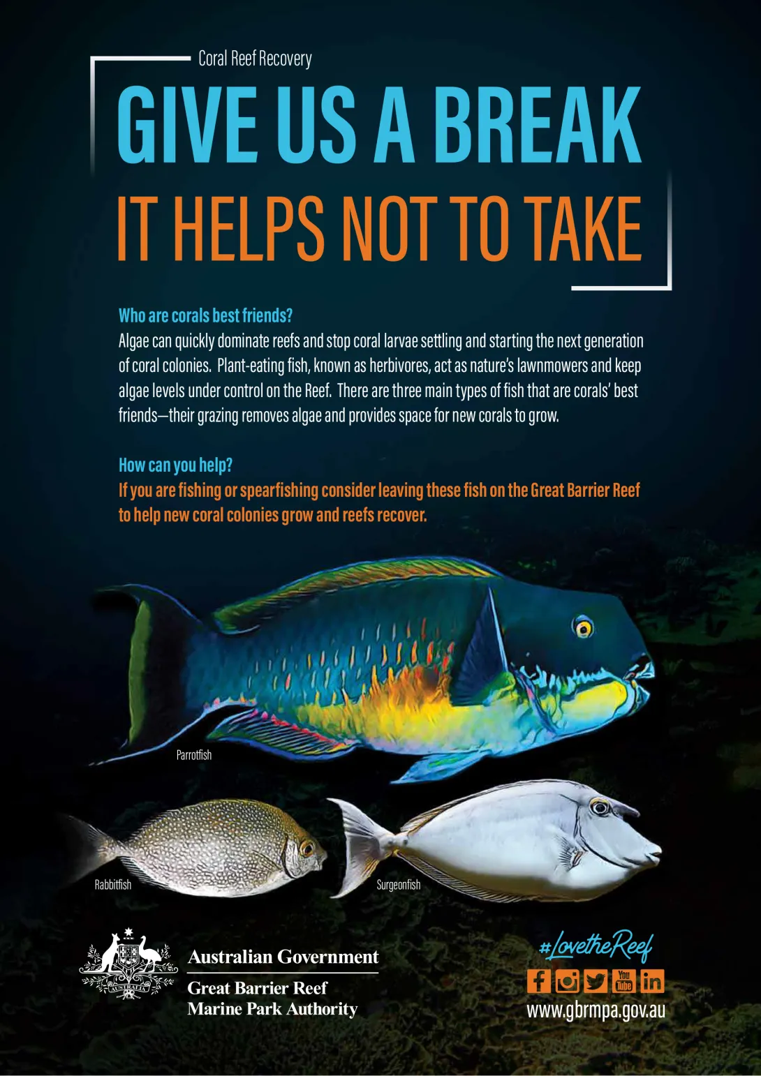 Coral Reef Recovery - Give us a Break - It Helps Not to Take