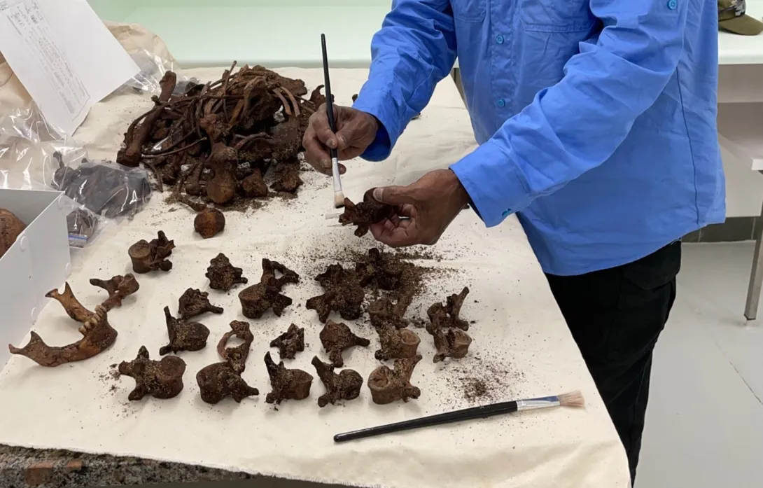 Cleaning of artifact