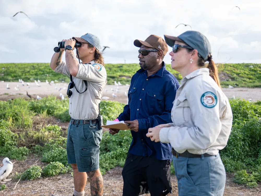 Bird survey